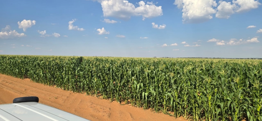0 Bedroom Property for Sale in Hennenman Rural Free State